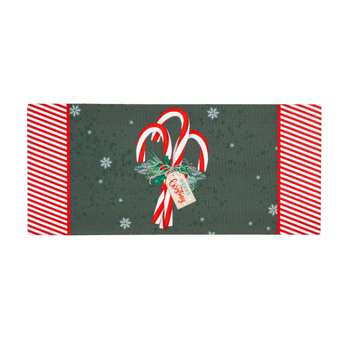 Emmelie Sassafras Swtich 22" x 10" Non-Slip Outdoor Door Mat The Holiday Aisle®