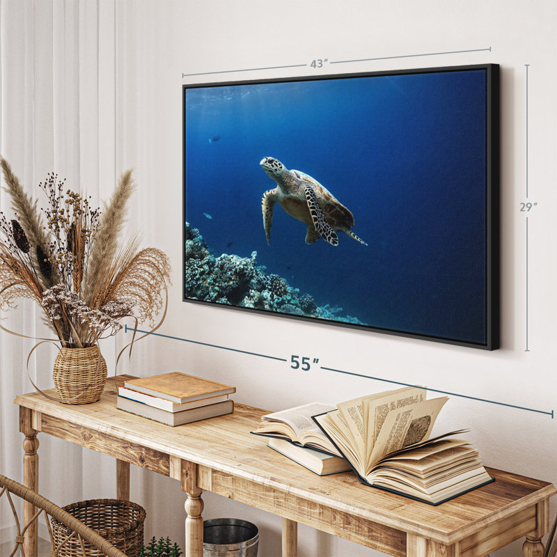 Turtle Adventure Canvas Print