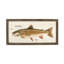Trout Print-1906805424