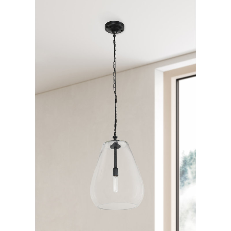 Matte Black Mini Pendant Light with Clear Glass Shade