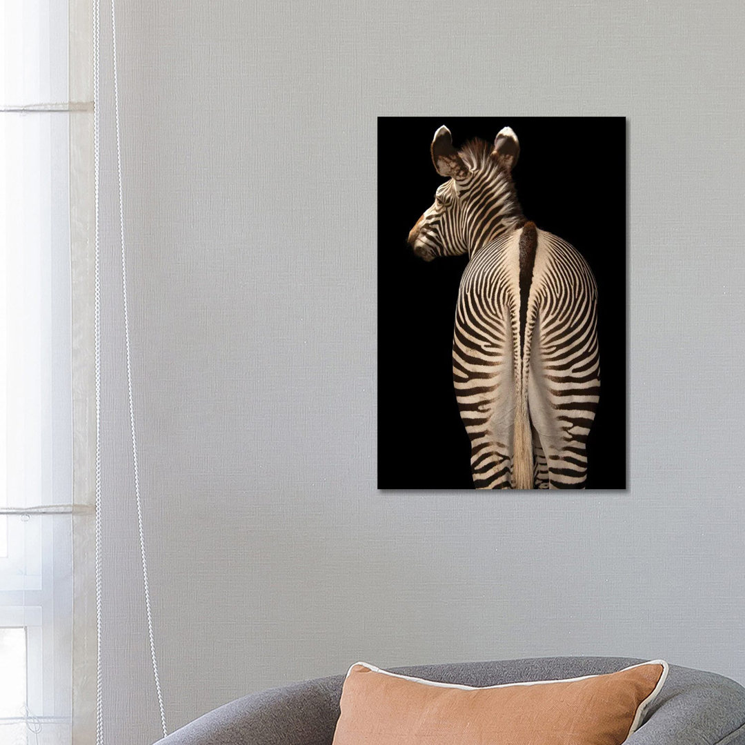 Grevy's Zebra At The Lee G Simmons Conservation Park And Wildlife Safari Near Ashland, Nebraska von Joel Sartore - Galle...