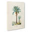 Illustration Of A Date Palm Tree - Wrapped Canvas Painting-55304359