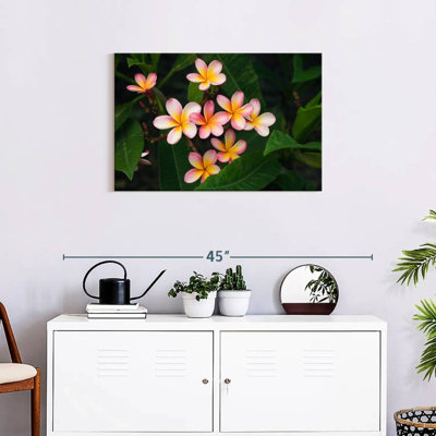 Harnek Light Pink Plumeria Flower