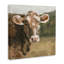 Soft Country Meadow Cow-1299785328-1296596780