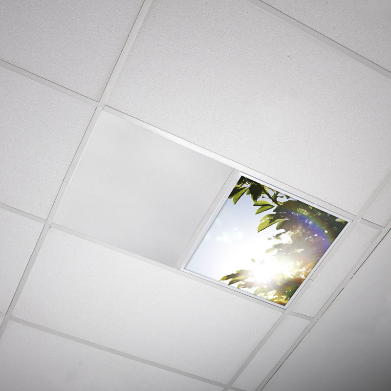 Tree Square Fixture Component Ceiling Light