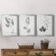 «Botanical Imprint I», ensemble de 3 peintures sur toile encadrées-1130262993-1130263006
