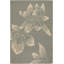 Nova Wool Floral Area Rug in Gray-293309954