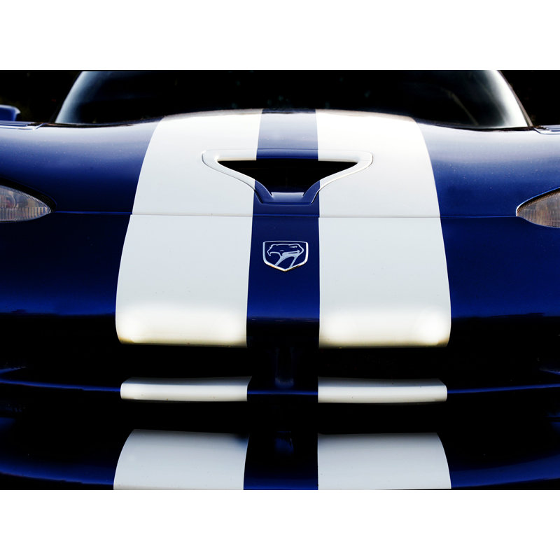 " Dodge Viper 4 ", 30" H x 40" W  