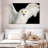 Brampt White Owl-107685923
