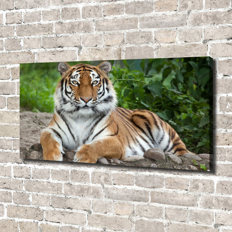 Siberian Tiger - Wrapped Canvas Print