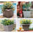 Lochlain Pot Planter-1506204058-1506204006