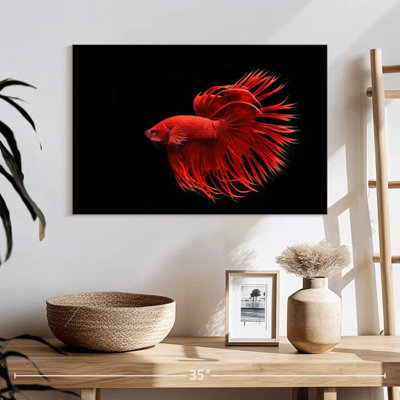 Grandiose Red Betta Fish