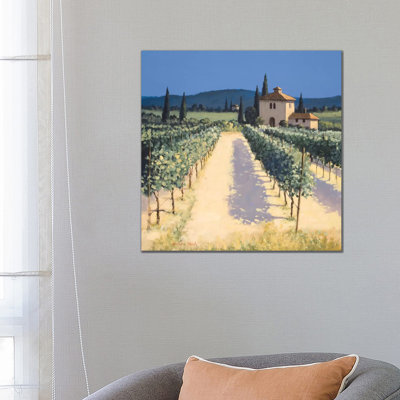 Vineyard Shadows by David Short - Wrapped Canvas Print