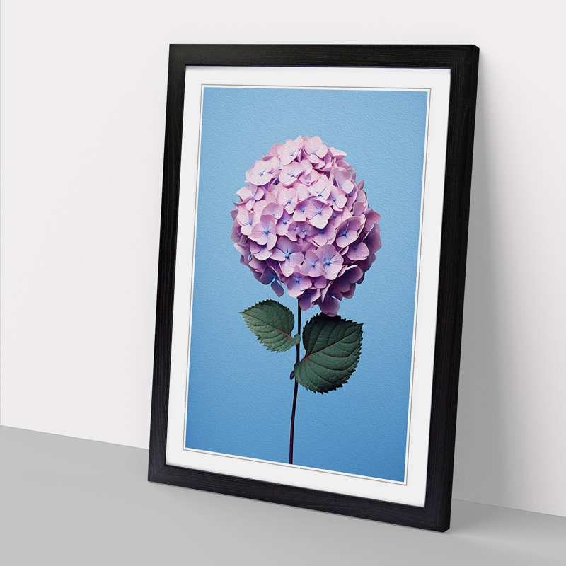 Hydrangea Minimalism No.2 - Framed Print, Black Framed, 34cm H x 25cm W x 2cm D