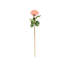 Tige de pivoine artificielle Cole and Grey-579464063-579464062