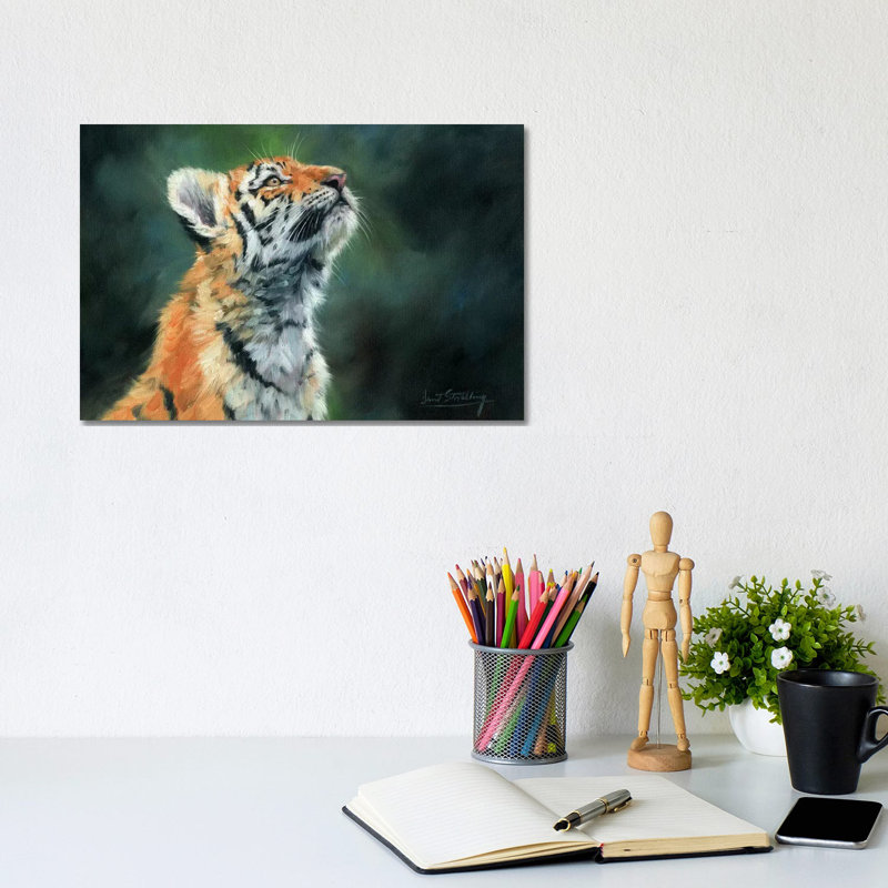 Tiger Cub Looking Up by David Stribbling - Wrapped Canvas Gallery-Wrapped Canvas Giclée, 20.32cm H x 30.48cm W