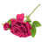Pink selected