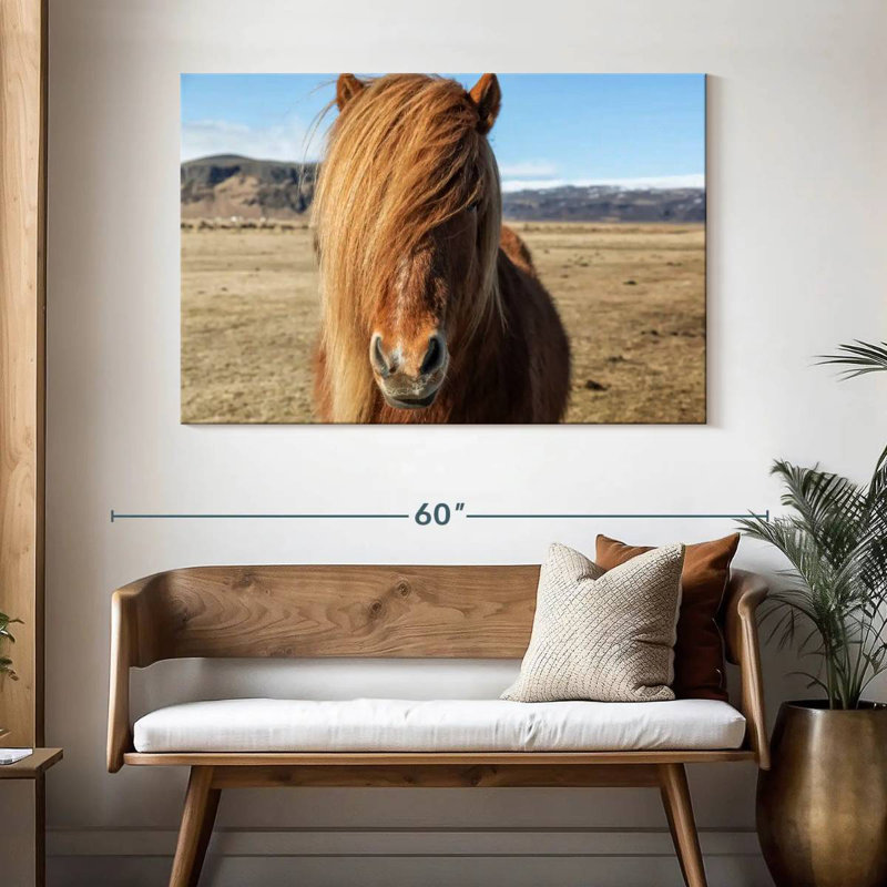 Chevaux Islandais dans la campagne VII, H 32 po x l 48 po