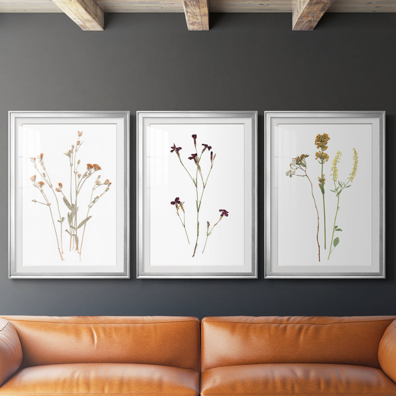 Pressed Botanical I - Impression personnalisée de qualité supérieure avec cadre mat - 3 pièces, H 21 po x l 30 po