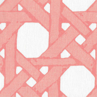 Cane Back Linen Fabric