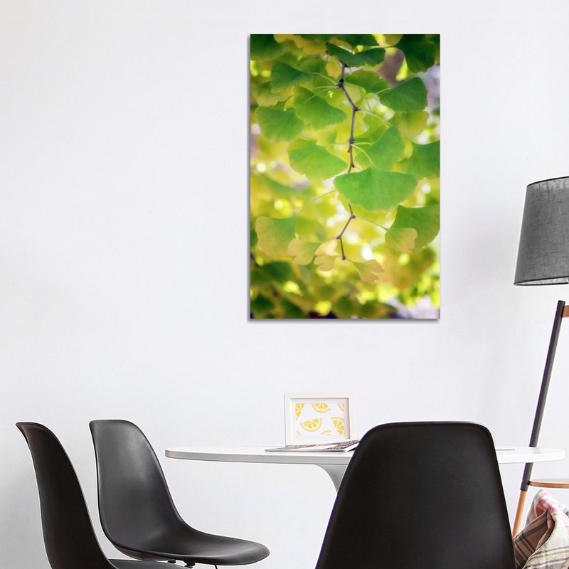 Fossil Leaves by Philippe Sainte-Laudy - Print on Canvas, 66.04 cm H x 45.72 cm W x 3.175 cm D, Wrapped Canvas