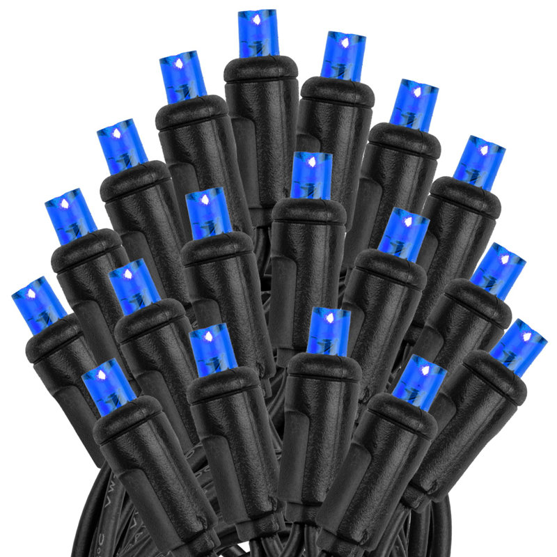 Guirlande lumineuse 50 lumières, Bleu