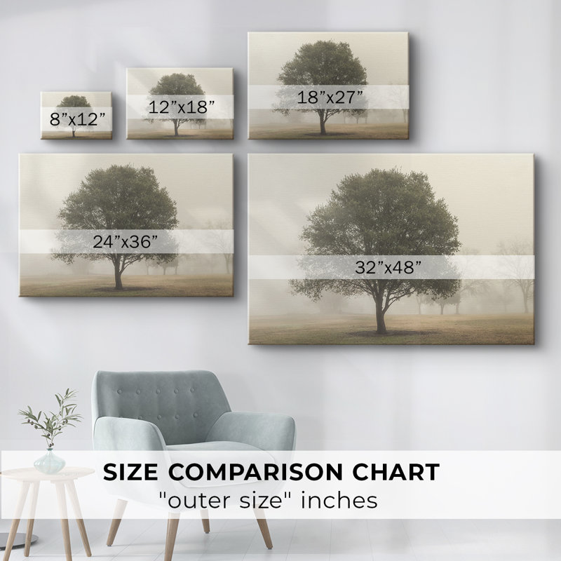 Arbres dans le brouillard I - Cavas enveloppés de galerie, 24 x 36