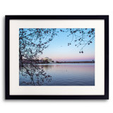 Cherry Blossom Morning On The Tidal Basin Print by Scott Wurzel