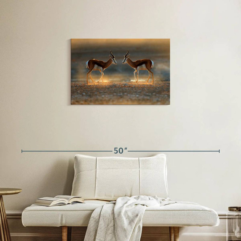 Brampt Springbok Antelopes, 20" H x 30" W