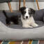 Eco Polyester Pet Bed-1348550498