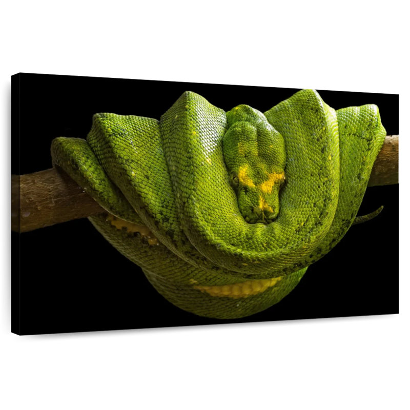 Green Boa Constrictor, 26" H x 39" W
