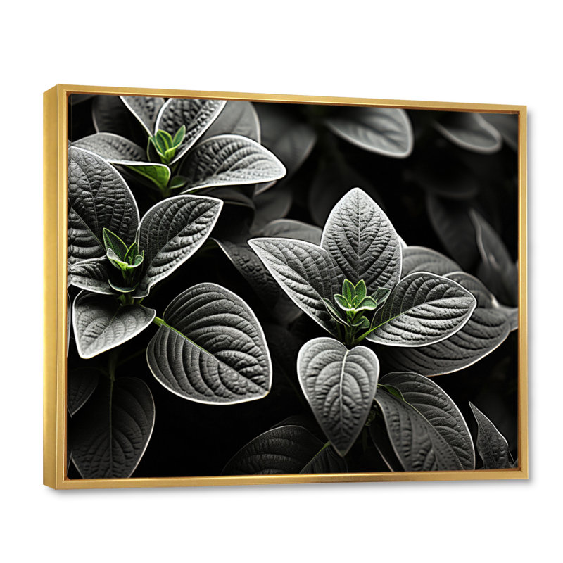 Plantes grises, sérénité botanique sur toile, H 24 po x l 32 po x P 1 po, Cadre flottant doré