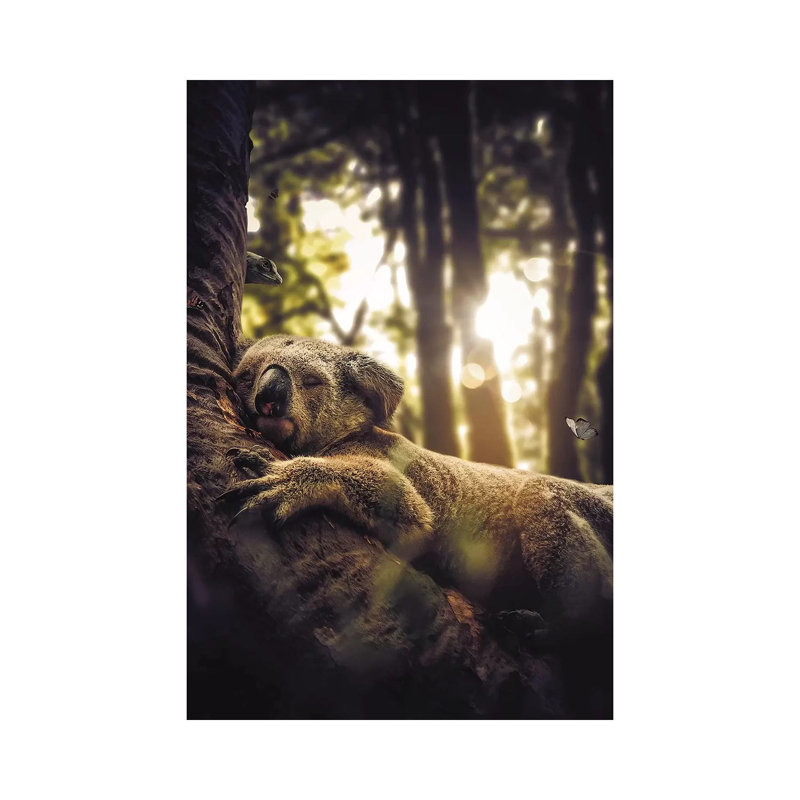 Sleeping Koala by Zenja Gammer - Print on Canvas, 66.04 cm H x 45.72 cm W x 1.91 cm D, Wrapped Canvas