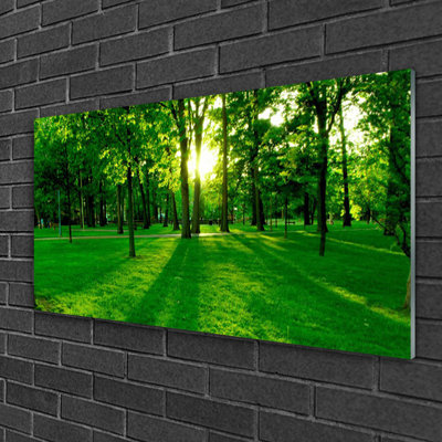 Nature Forest - No Frame Print on Glass