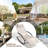 Tyshika Outdoor Metal Chaise Lounge-1675740448