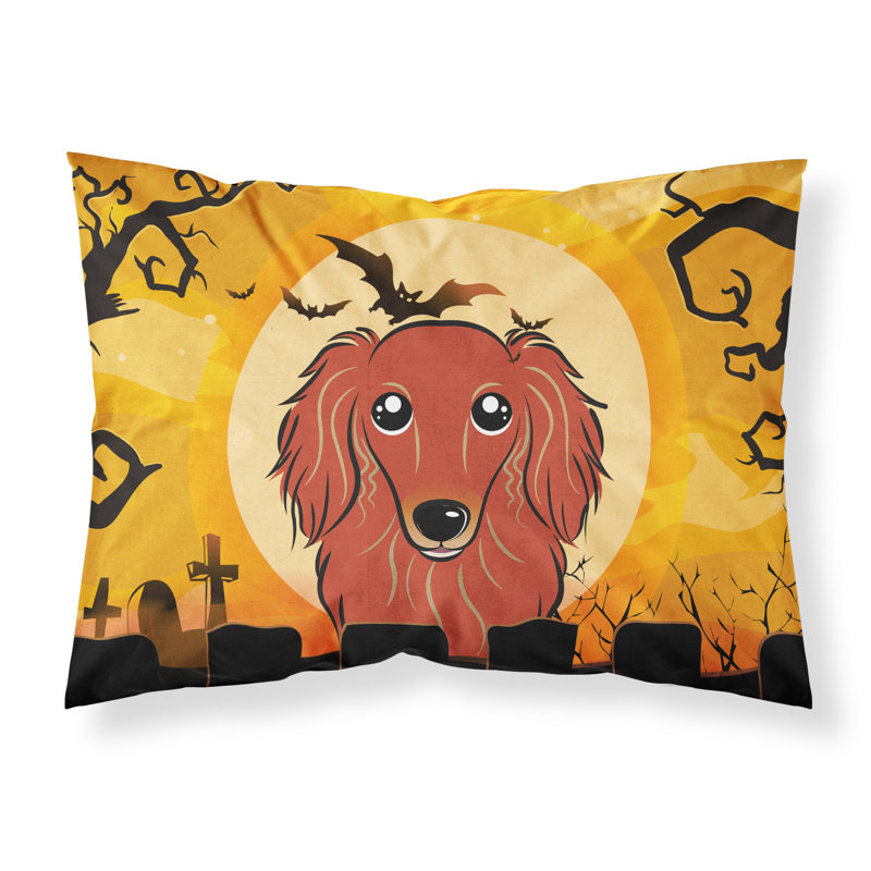  Taie d'oreiller Halloween Schnauzer, Teckel rouge à poil long
