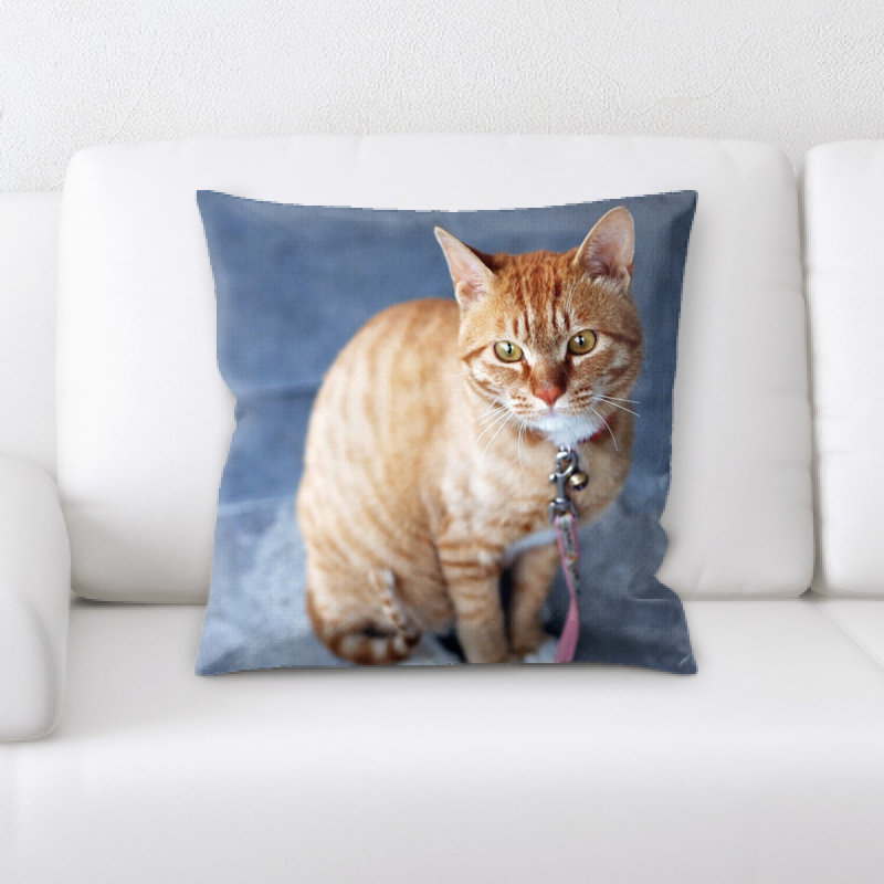 Coussin pour chat