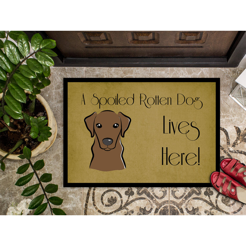 Paillasson d’extérieur antidérapant de style Labrador, Chocolat, Rectangle 1 pi 6 po x 2 pi 3 po