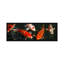 Koi Carp in Japon - Reproduction de photo panoramique non encadrée sur toile-19982853-71986083