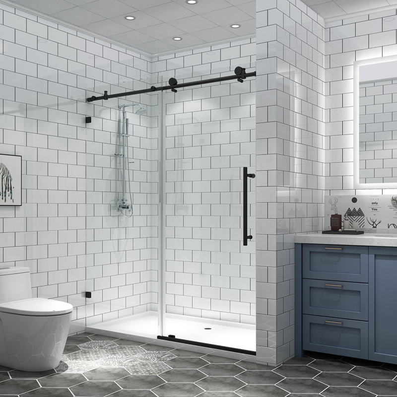 Frameless Shower Door, Black