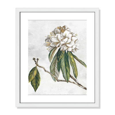 «Pearly Beauty II» par Eva Watts