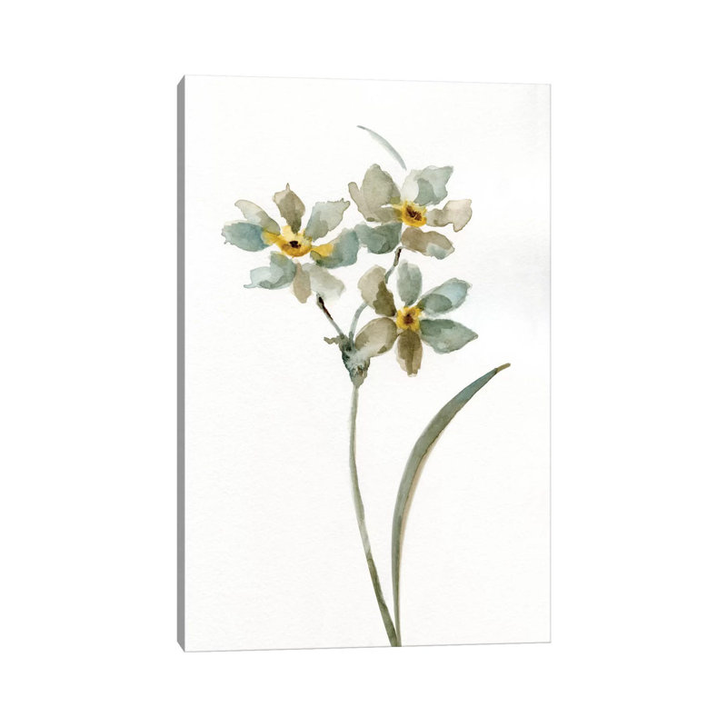 Neutral Botanical I by Nan - Wrapped Canvas Painting, 101.6 cm H x 66.04 cm W x 1.91 cm D