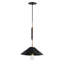 Cavalier 1 - Light Pendant