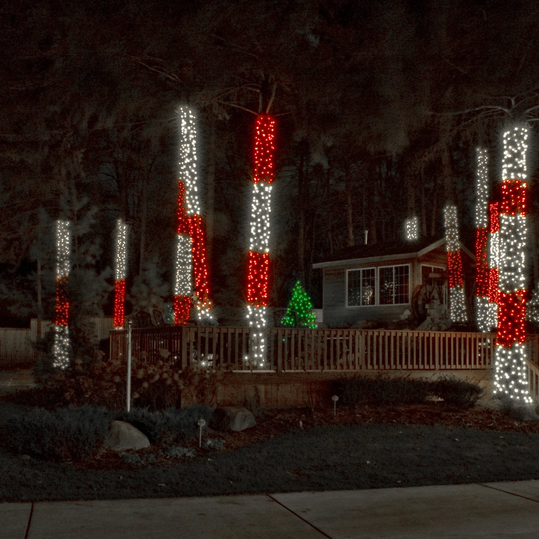 5mm Lightsets 24'' LED String Lights The Holiday Aisle®