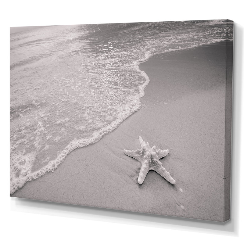 Étoile de mer noire et blanche sur la plage - reproduction sur toile, H 16 po x l 32 po x P 1 po, Toile tendue