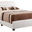 Lit double Elegant Contemporary