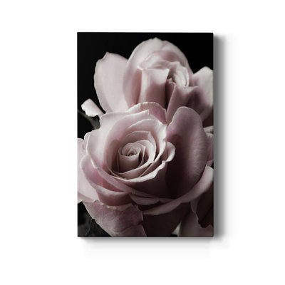 " Rose Noir II "