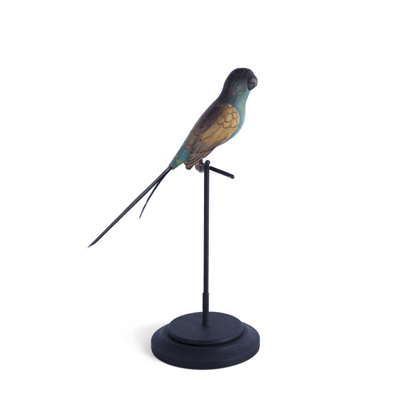 Hooded Parrot