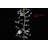 Guarino Indoor 20 - Bulb 6'' Battery Powered Fairy String Light