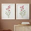 Delicate Pink I - ensemble de 2 peintures sur toile encadrées-992947488-992947489
